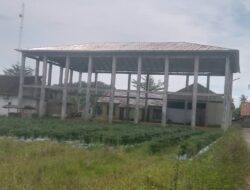 Pembangunan Gedung Aula Pekon Fajar Agung Barat Diduga Mangkrak, Warga Pertanyakan Anggaran Ratusan Juta